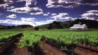 �ǩ��s�m Napa Valley